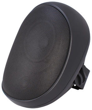 (image for) Speco SP4AWET All Weather 4" Black Speakers with Transformer